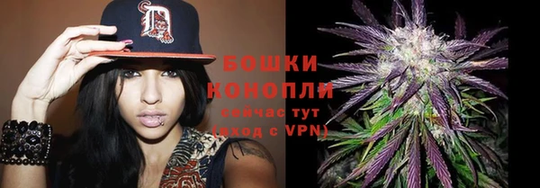 ГАЛЛЮЦИНОГЕННЫЕ ГРИБЫ Краснослободск