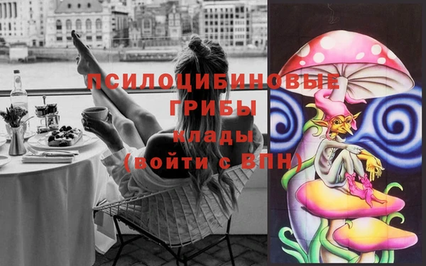 ГАЛЛЮЦИНОГЕННЫЕ ГРИБЫ Краснослободск