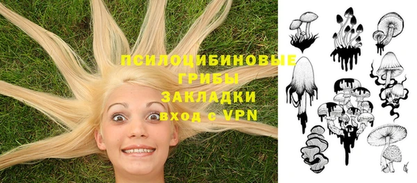 спиды Кулебаки