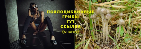 индика Красноперекопск