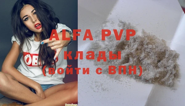 индика Красноперекопск
