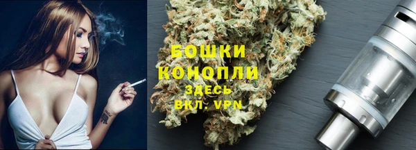 индика Красноперекопск