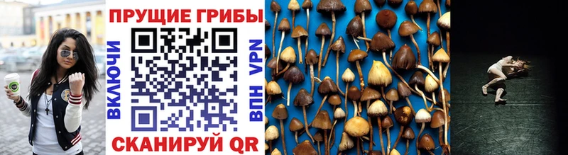 Купить закладки  Билибино  Галлюциногенные грибы Magic Shrooms 